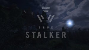 ЛУЧШЕ ЧЕМ S.T.A.L.K.E.R 2#STALKER True Stalker #1 Первая вылазка