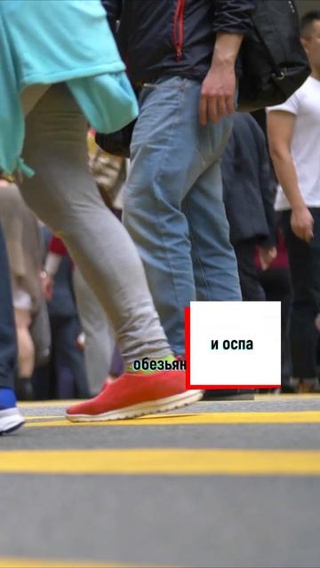 Сохранение биоразнообразие, научная статья, биоразнообразие, наука в России, ученые, ИНК, #shorts смотреть онлайн