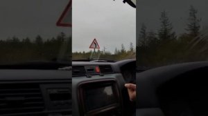 Нападение Медведя на машину 🐻