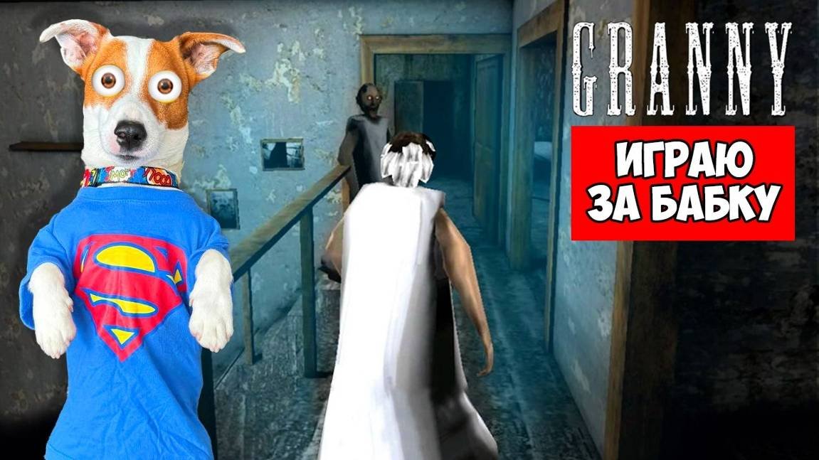 Локи бобо гренни 3. Локи бобо бабка гренни. Видео бабка гренни 3 локи бобо. Видео бабка гренни 3 локи бобо. Бабка гренни игра в кальмара.