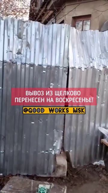 ВЫВОЗ ИЗ ЩЕЛКОВО ПЕРЕНЕСЕН НА ВОСКРЕСЕНЬЕ! #приютгвардия #приютдлясобак #щелково