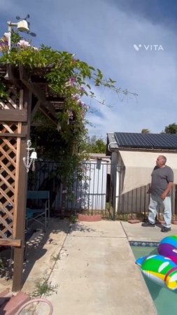 #shorts  Yellowjacket nest in wind chime #safetyforTurtle