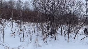 Покатушки на Ниве.
У нас зима.
Амурская область.