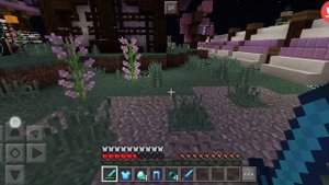 Маленький гриф с читами на дошик майн