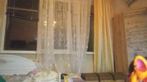 берите в видео для квадробики!