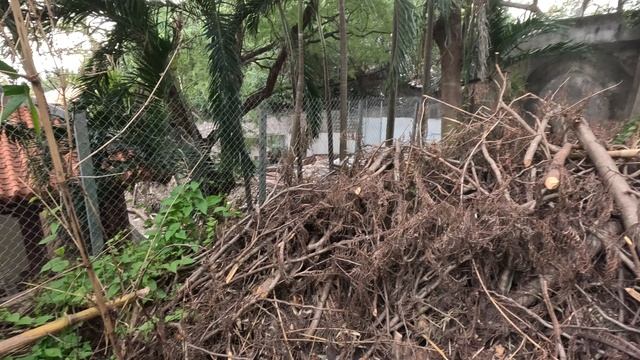 Чамские башни Вьетнам смотреть онлайн