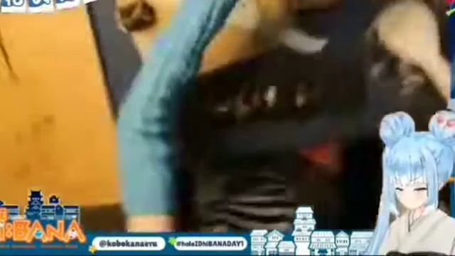 Kobo Drops Her Camera смотреть онлайн