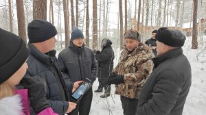 Отвод лесосек в условиях действия современной ФГИС ЛК. Часть 2