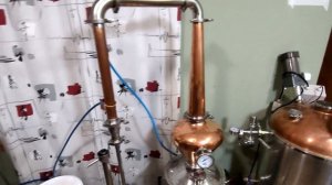 Хлебное вино из хвостов!!! Возможно?