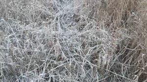 Я как осень 🍁🍂🍂все понимаю. Ты думал, то я слабая. ломал меня словами. держал меня руками. .