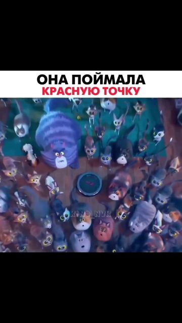 "Тайная жизнь домашних животных 2" смотреть онлайн