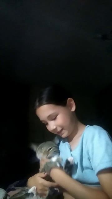 очень злая кошка смотреть онлайн