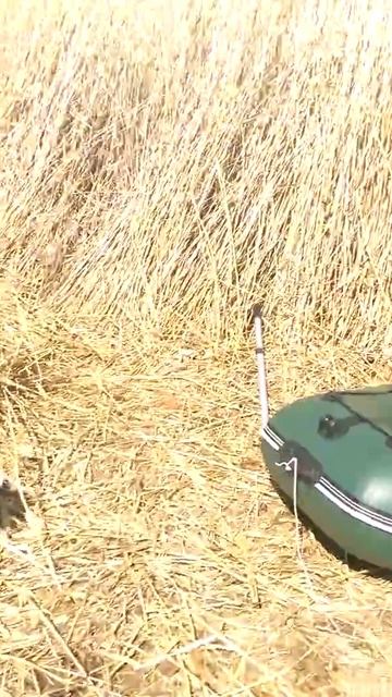 Поимка трофейного сома на балхаше смотреть онлайн