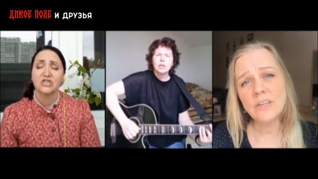 Песня "Холода" (Дикое Поле и друзья)