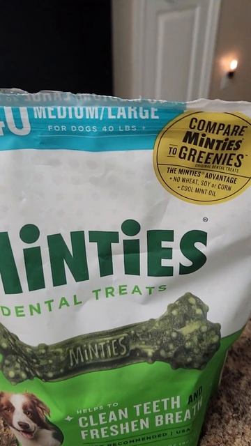 The Best Dental Dog Treats Are Minties! смотреть онлайн