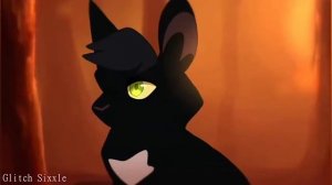 Коты воители песня бича❤️