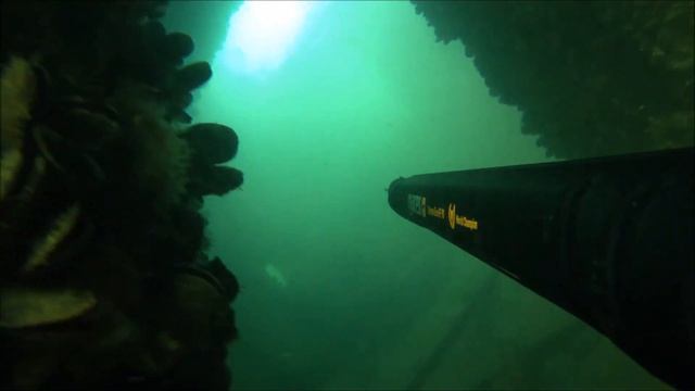 test mares cyrano hf 90 смотреть онлайн