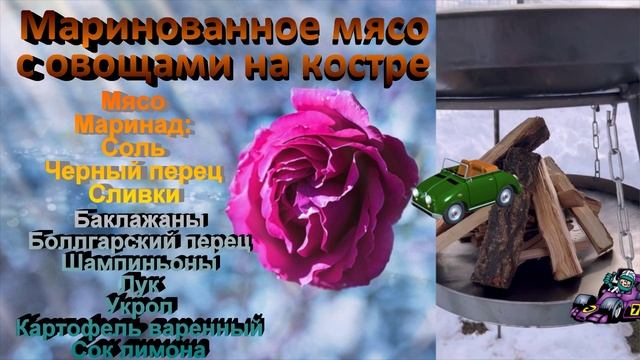 Маринованное мясо с овощами на костре