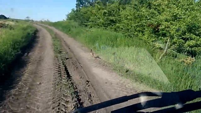 фазаны по дороге смотреть онлайн