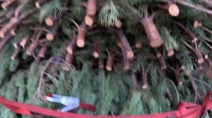 НОВЫЙ ГОД БЛИЗКО!!! | ВЕЗЕМ СОСНУ 10 Т (1 ЧАСТЬ)