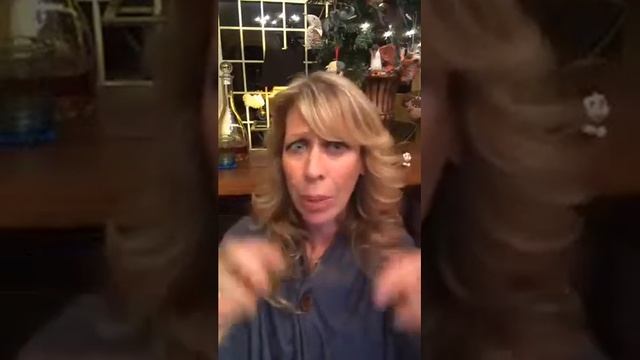 Animalogy is LIVE смотреть онлайн