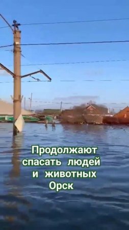 Орск вместе, главное не киснуть #урал