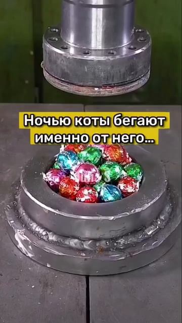 Это существо живёт у тебя дома😳 #shorts смотреть онлайн