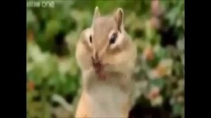 Татарча бию