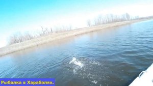 Рыбалка в Харабалях. Ловля в ерике. весна 2017 г.