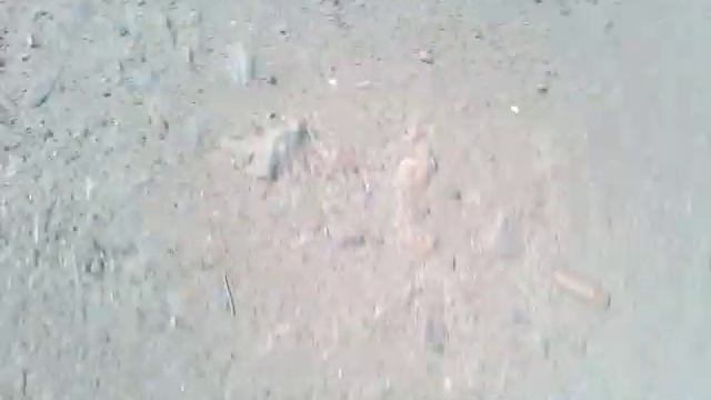 24 августа 2020 г. смотреть онлайн