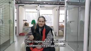 Отзыв для зоогостиницы "Котико"