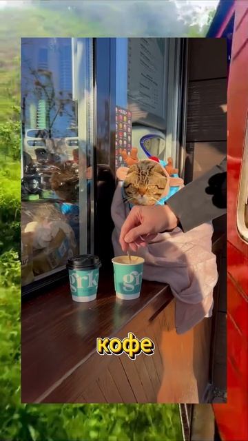 Приколы с животными | Смешные коты | Смешные видео | Вирусные видео | С ОЗВУЧКОЙ | #cat #shorts смотреть онлайн