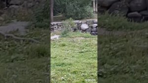 ПроПутешествия.Питер2024.Фильм14.Серия2.mp4