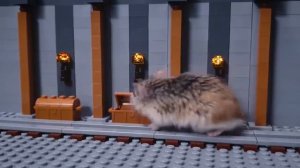 major hamster vs zombies lego minecraft treasure hunt videomega ru