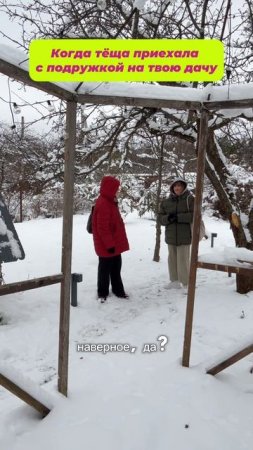 Когда тёща приехала с подружкой на твою дачу.