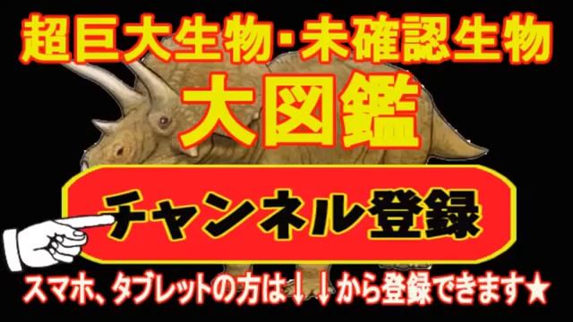【最強の鳥】～古代生物・ディアトリマ～恐竜後の地上の捕食者として君臨【仰天】世界の衝撃生物大図鑑
