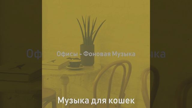 Чувство (Расслабляющий) смотреть онлайн
