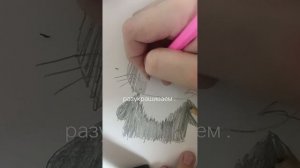 котик