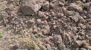 Это не целина - это бетон