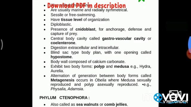 Animal Kingdom - Class 11 Biology notes PDF Download #biologynotes #animalkingdomnotespdf
