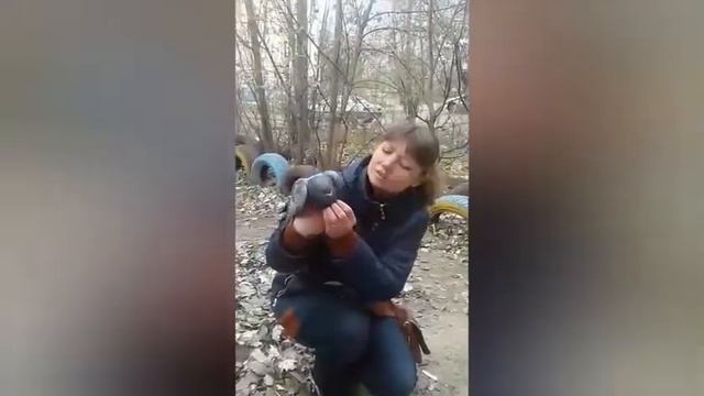 Галина V и голуби смотреть онлайн