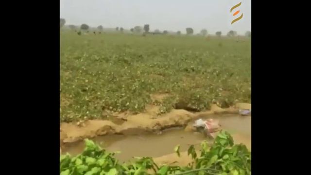 Mira Mehta Celebrates International Women's Day 2019 смотреть онлайн