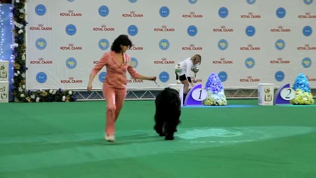 MVI 7219 смотреть онлайн