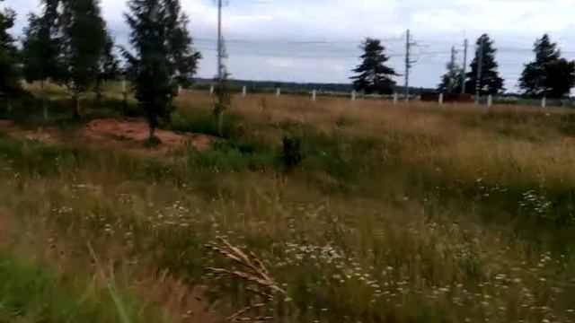 8 августа 2017 г. смотреть онлайн