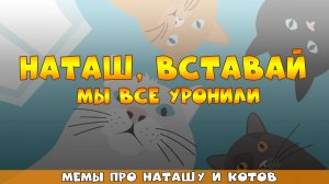 Мемы про Наташу и котов | расширенная версия😺👍