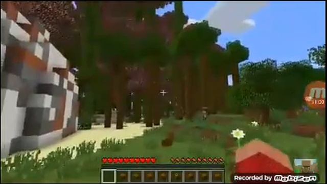 Компот житель и пиксель напились