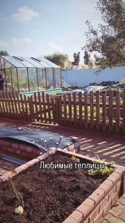 любимые теплицы