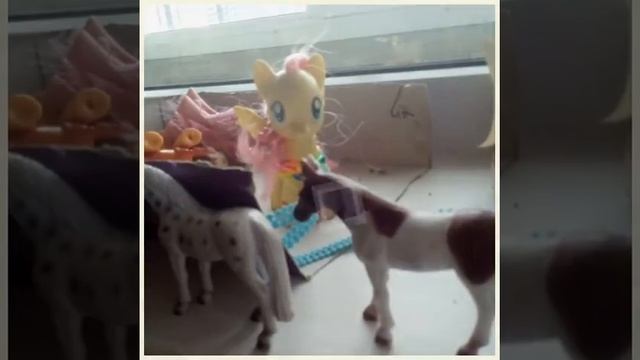 Любовь лошадей конец ! смотреть онлайн