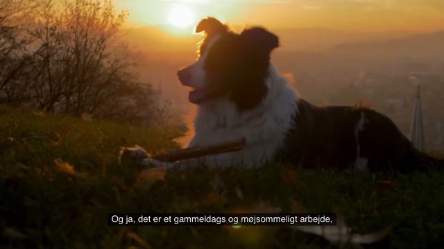 Walisisk Lam - her kommer smagen fra смотреть онлайн