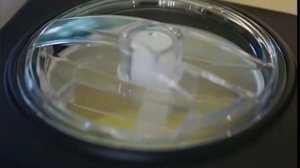 Обзор мороженицы Xiaomi Petrus Ice Cream Machine Quick Homemade Compressor Refrigeration (PEIC1280)